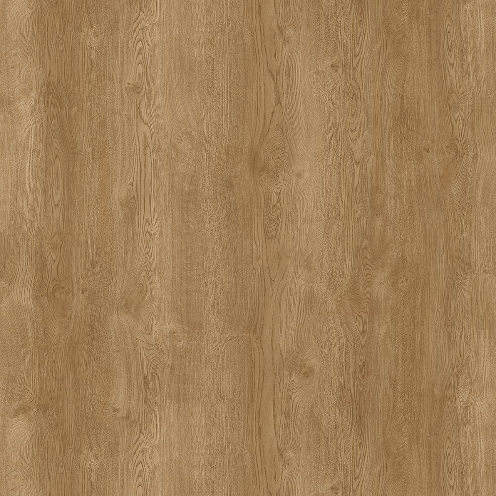 537956 AMERICAN OAK
