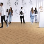 Original70 6691 01 Chene Chateau AMB MON HD Fogra39